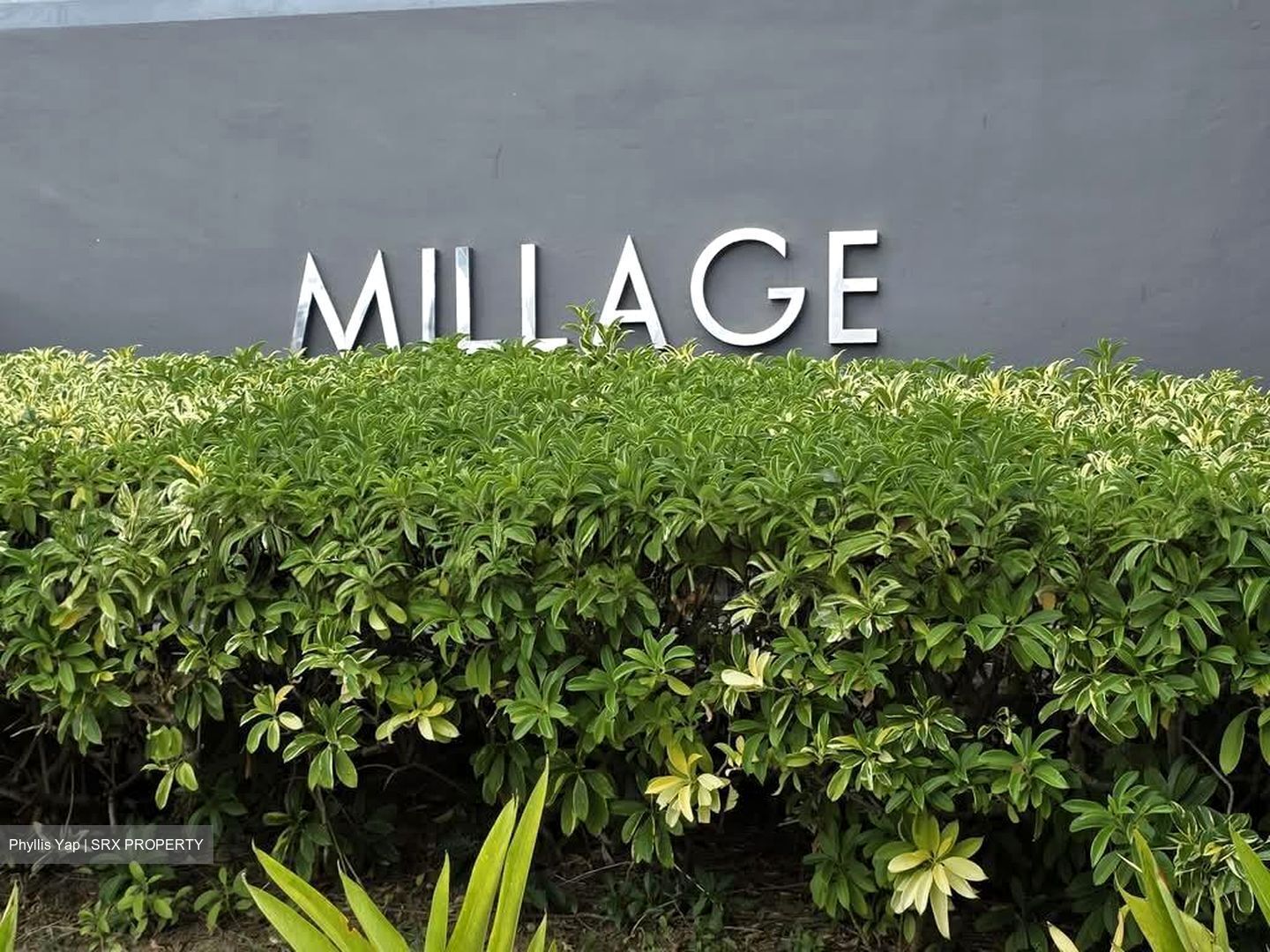 Millage (D14), Shop House #571631611